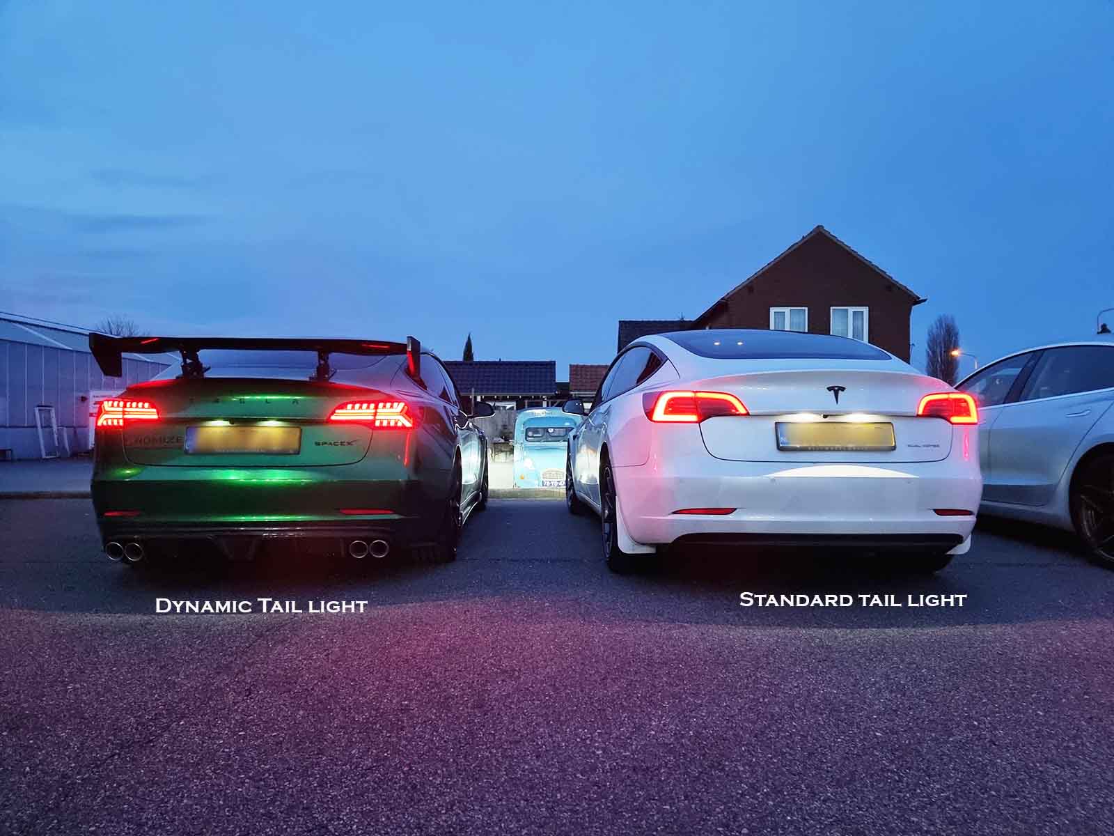 Model 3: Dynamic Tail Light Set - Torque Alliance