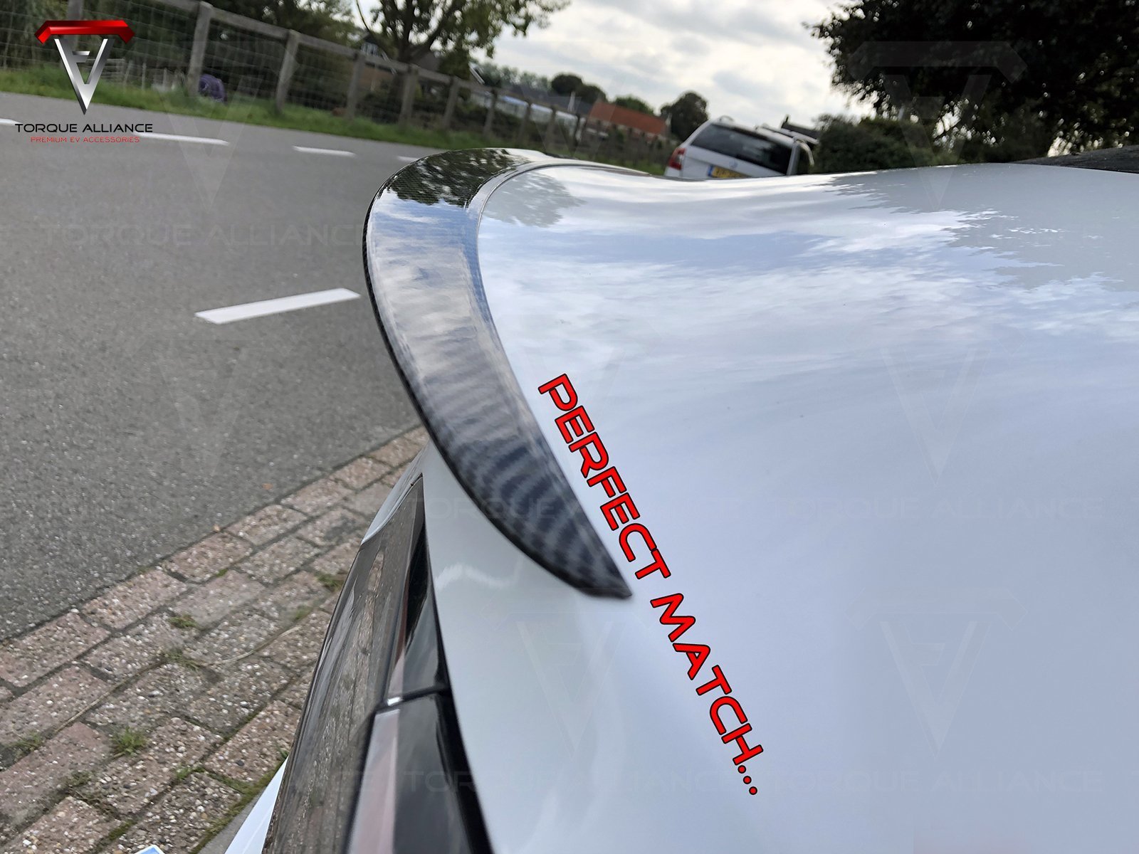 Model 3: Performance Tail Spoiler (ABS+coating) - Torque Alliance