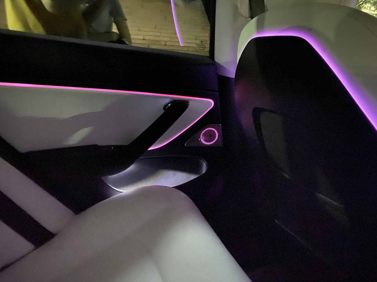 2016-2020 Tesla Model 3 & Y Interior Car Neon Lights (Center Console + –  The EV Shop