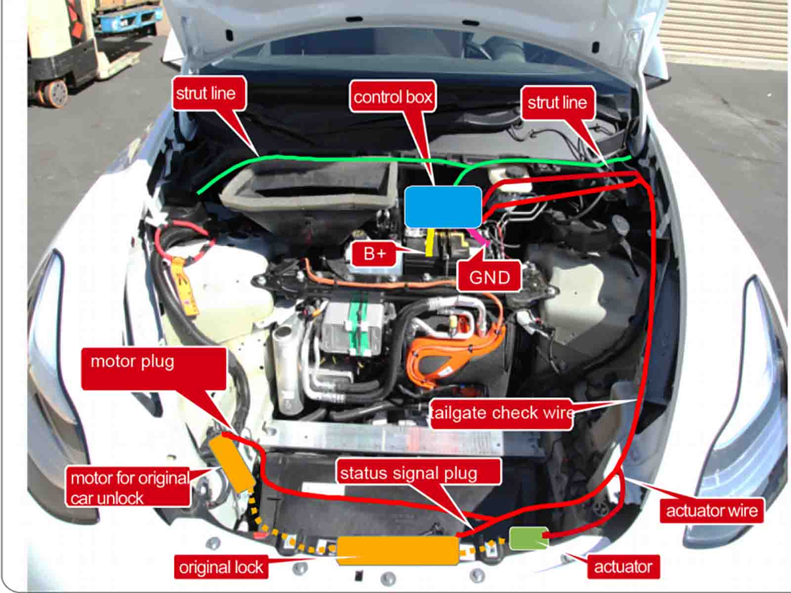 Model Y:Power Frunk, Electric Frunk - Torque Alliance